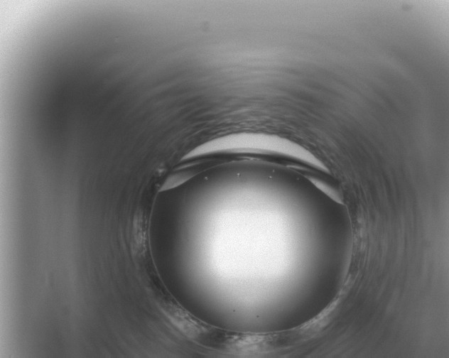 X0000068270186200605051824