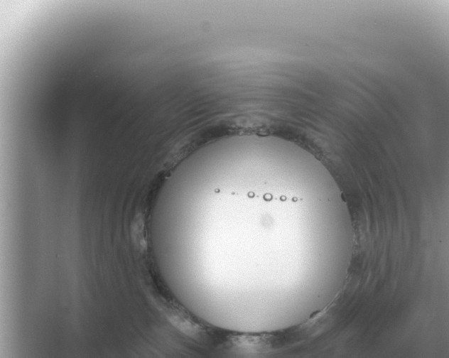 X0000068270187200605051824