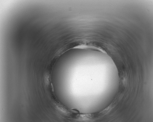 X0000068270188200605051824