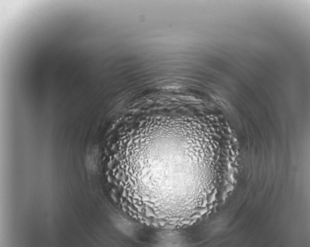 X0000068270189200605051824