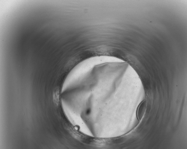 X0000068270190200605051824