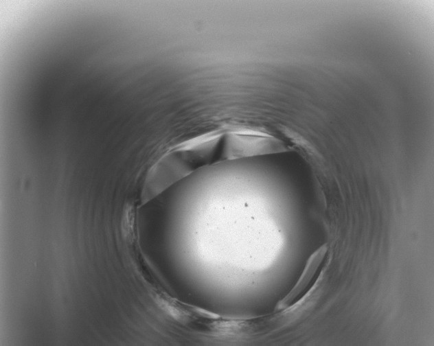 X0000068270192200605051824