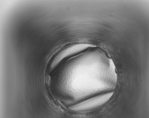 X0000068270194200605051824