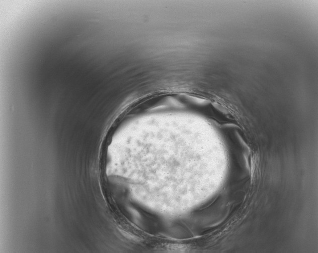 X0000068270195200605051824