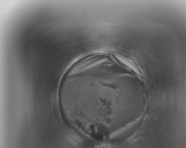 X0000068270196200605051824