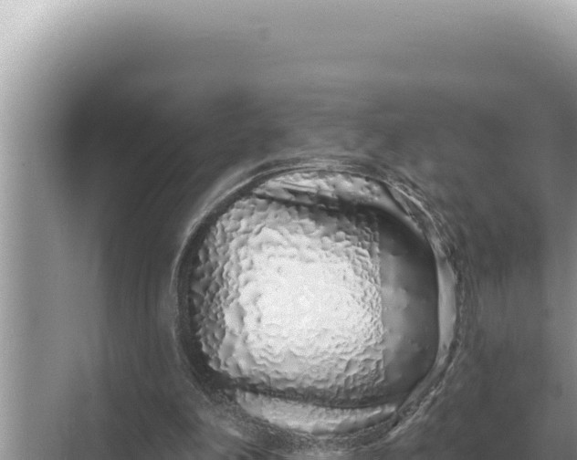 X0000068270198200605051824