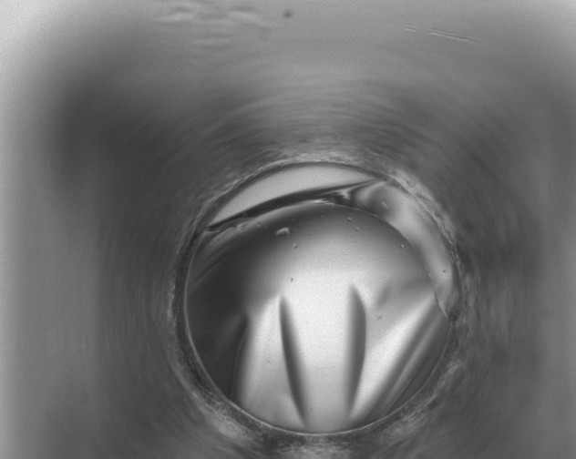 X0000068270201200605051824