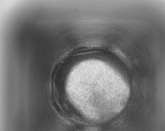 X0000068270202200605051824