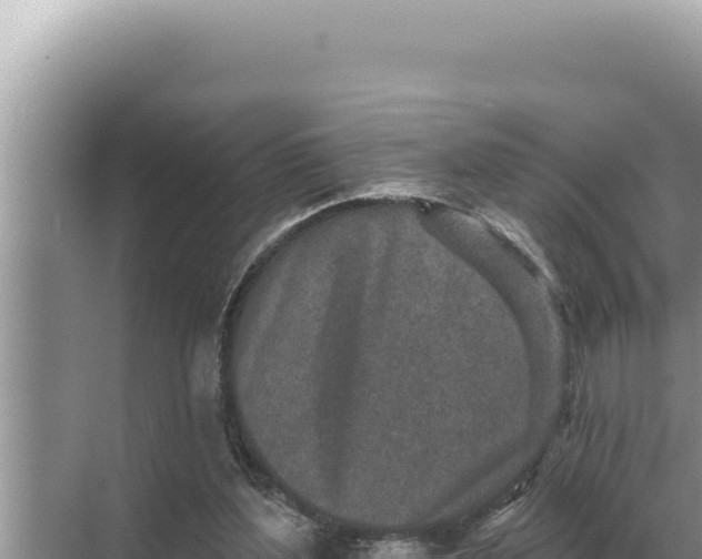 X0000068270204200605051823