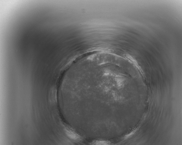 X0000068270205200605051823