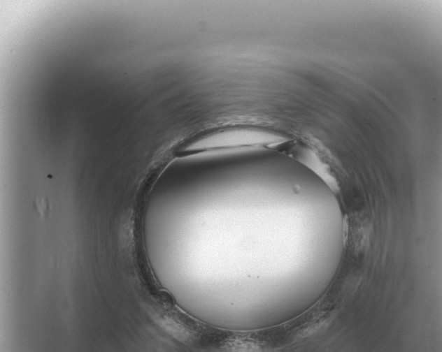 X0000068270207200605051823