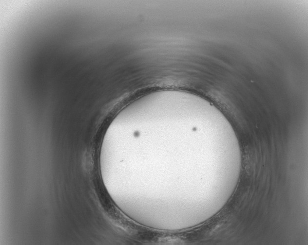 X0000068270208200605051823