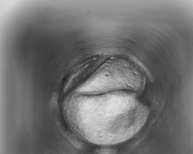 X0000068270209200605051823