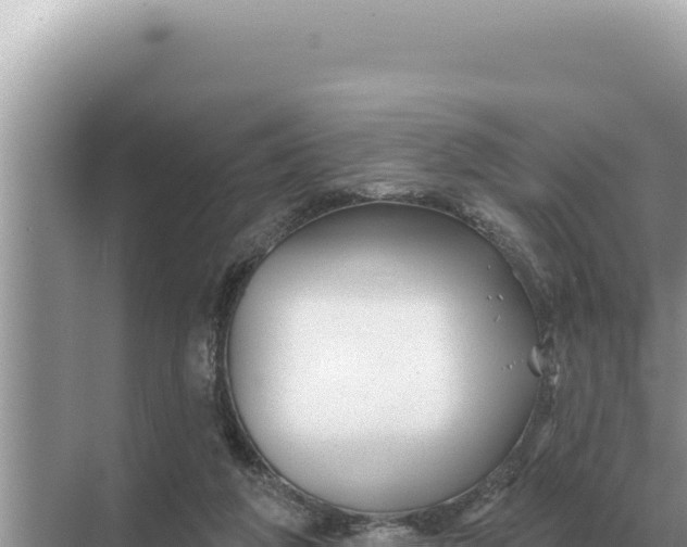 X0000068270210200605051823