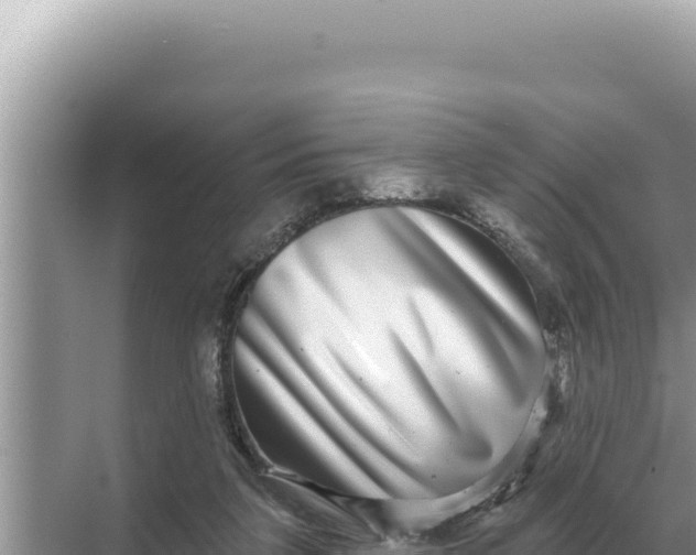 X0000068270211200605051823