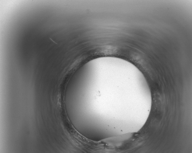 X0000068270212200605051823