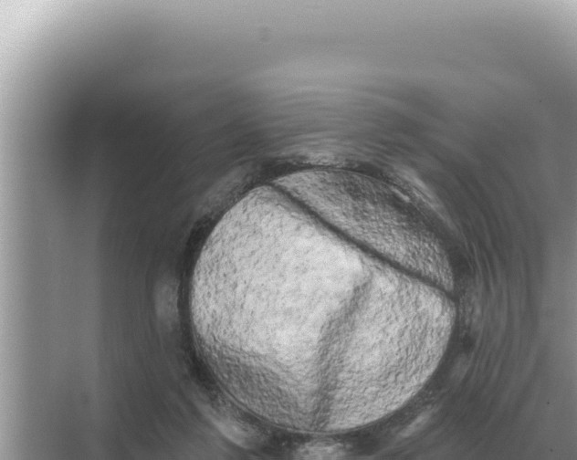 X0000068270213200605051823