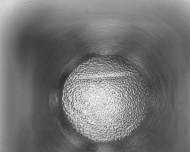 X0000068270214200605051823