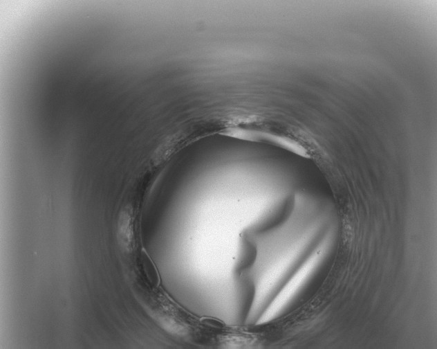 X0000068270215200605051823