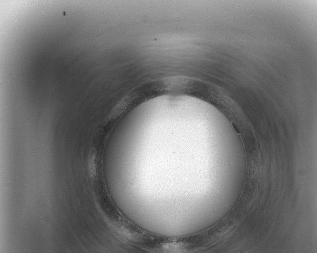 X0000068270216200605051823