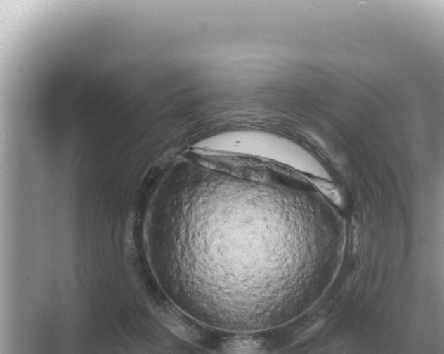 X0000068270217200605051823