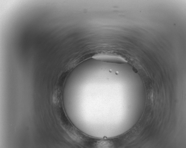 X0000068270218200605051823