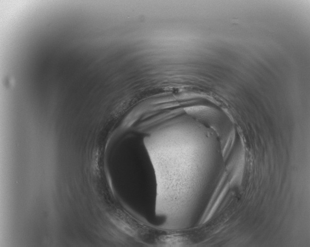 X0000068270219200605051823