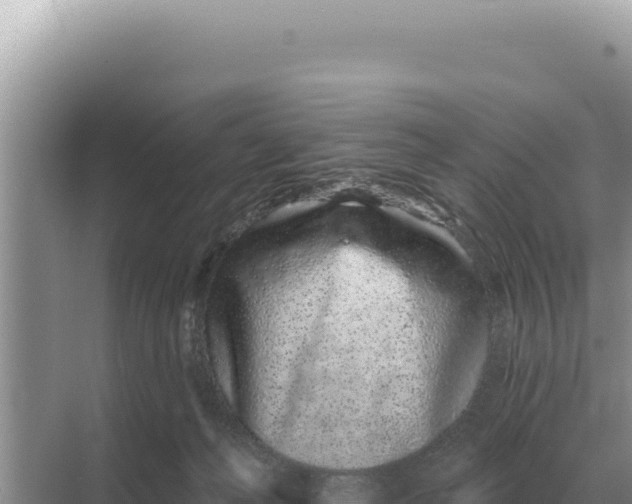 X0000068270222200605051823