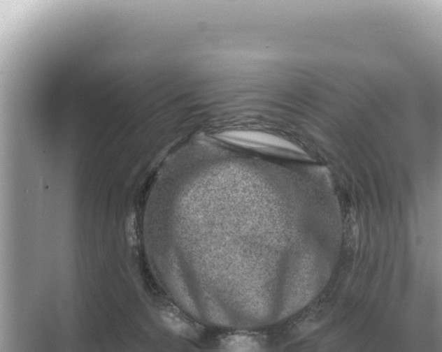 X0000068270224200605051823