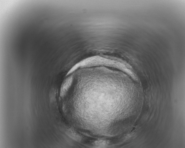 X0000068270225200605051823