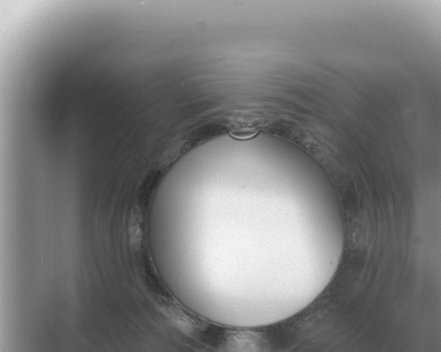 X0000068270226200605051823