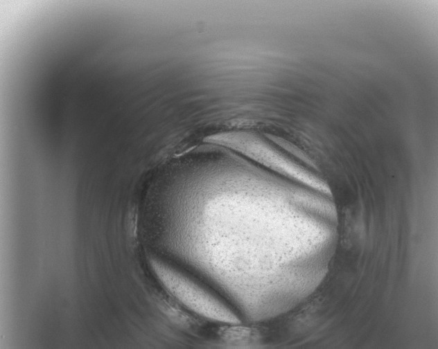 X0000068270230200605051823