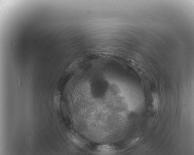 X0000068270231200605051823