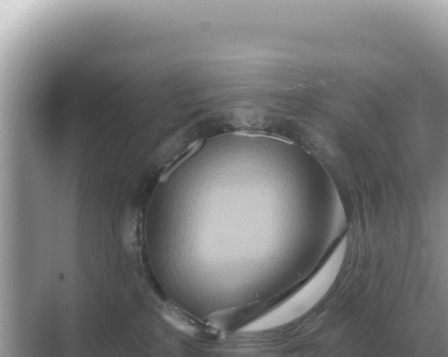 X0000068270233200605051823