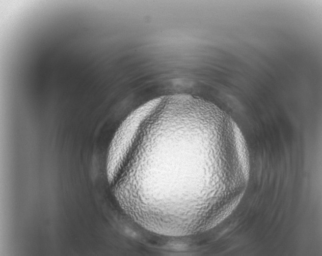 X0000068270236200605051823