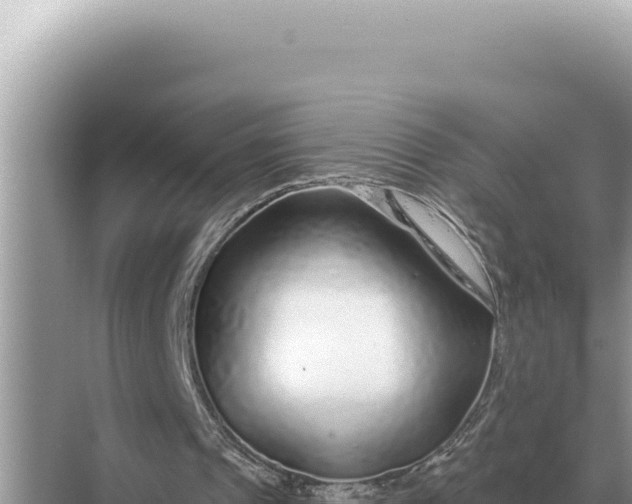 X0000068270241200605051822