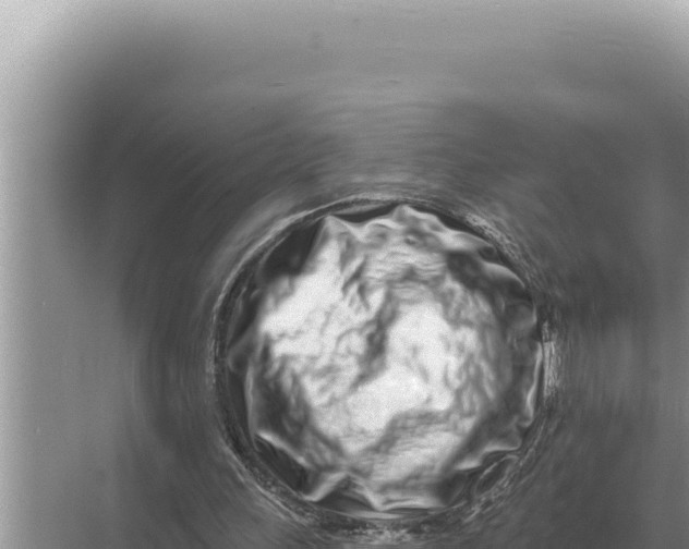 X0000068270243200605051822