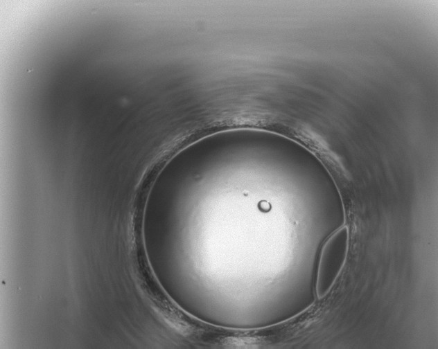 X0000068270250200605051822