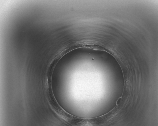 X0000068270254200605051822