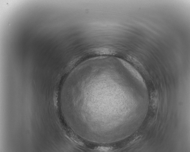 X0000068270255200605051822