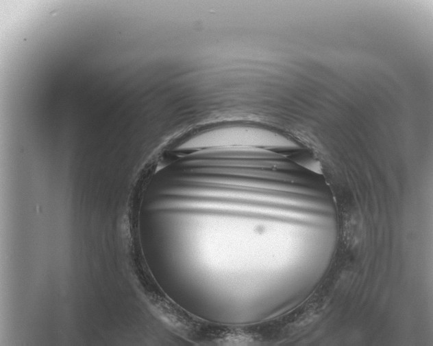 X0000068270256200605051822