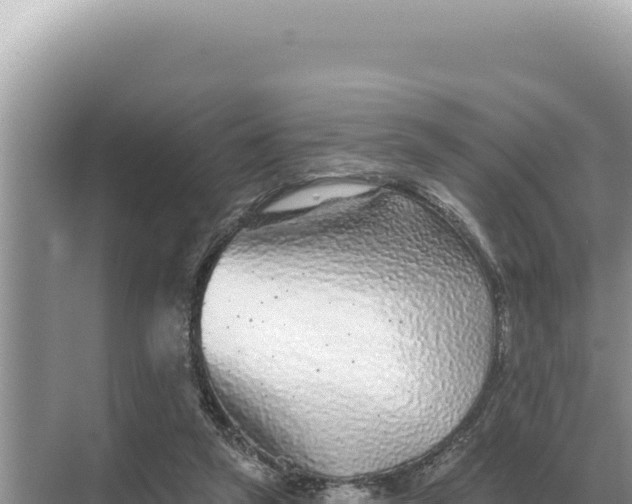 X0000068270257200605051822