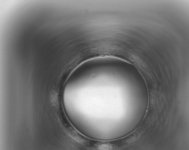 X0000068270258200605051822