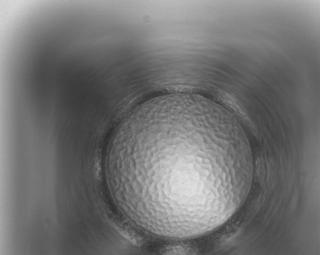 X0000068270259200605051822