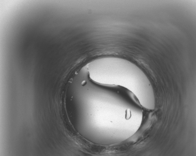 X0000068270260200605051822