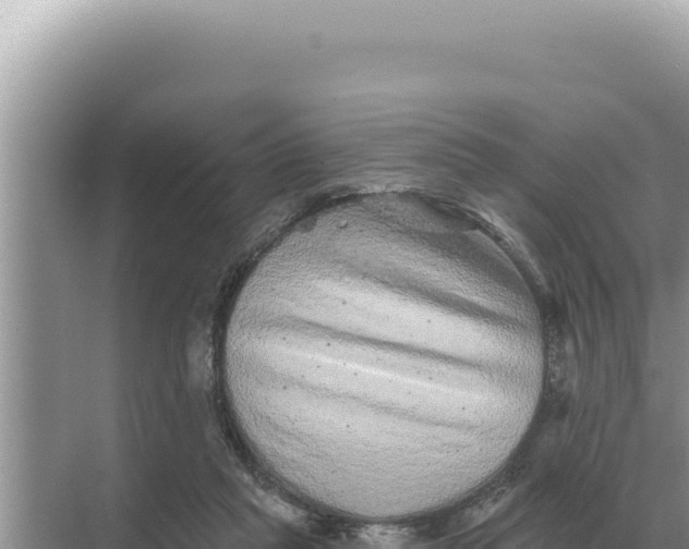 X0000068270261200605051822