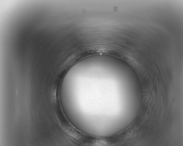 X0000068270262200605051822