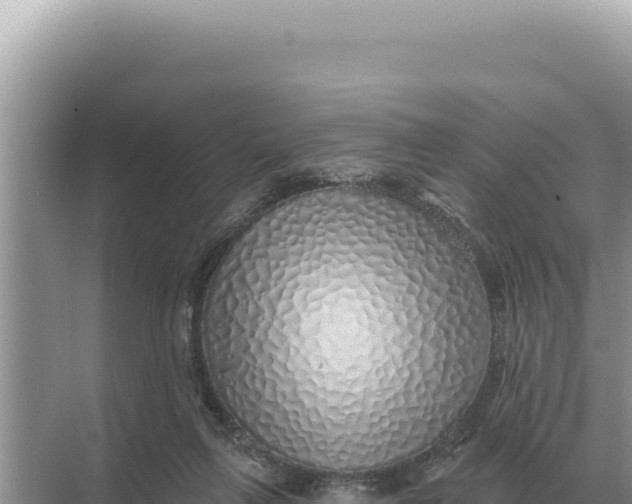 X0000068270263200605051822