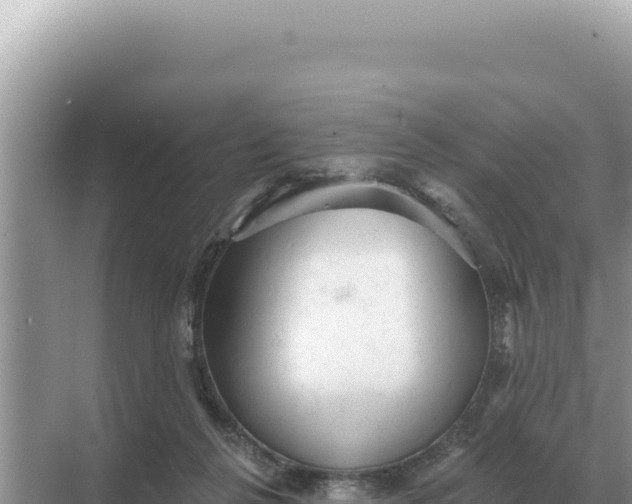 X0000068270264200605051822