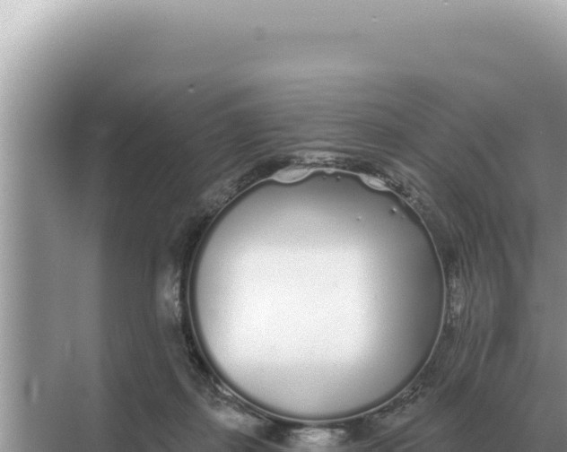 X0000068270267200605051822